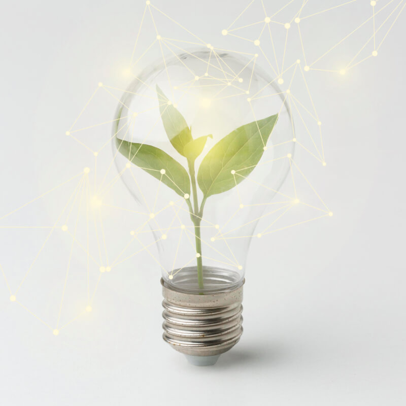 Energia Elétrica